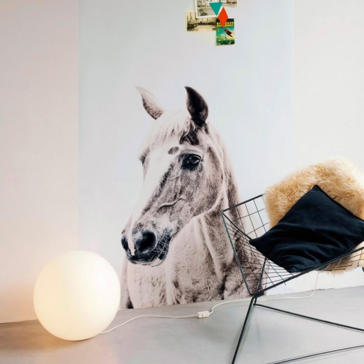 Magnetic wallpaper Horse by Groovy Magnets