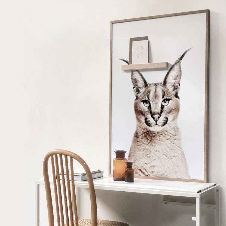 Magnetic wall sticker by Groovy Magnets - adhesive wall sticker with animal lynx