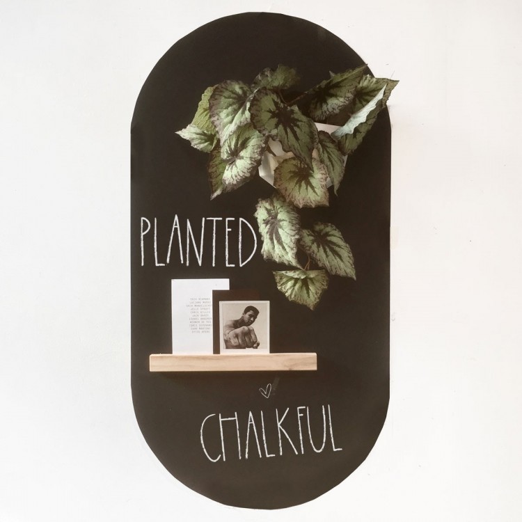 Magnetic wallplanter ICO / white - for plants, stationery,..
