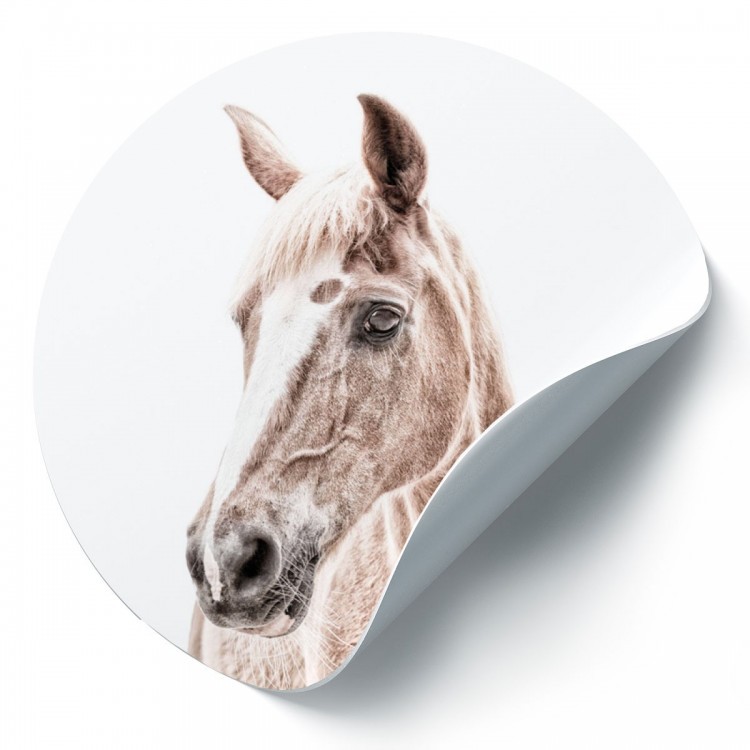 Magneetsticker paard van Groovy Magnets - decoratieve en functionele muursticker dieren print