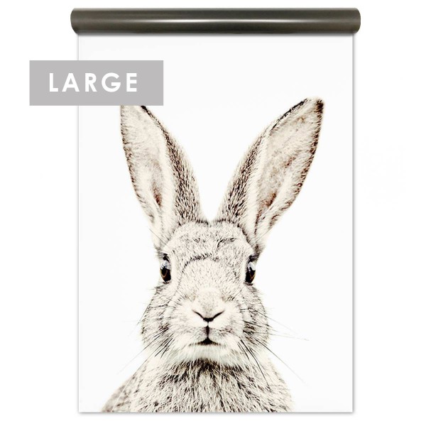 Papier peint magnétique Lapin / Groovy Magnets