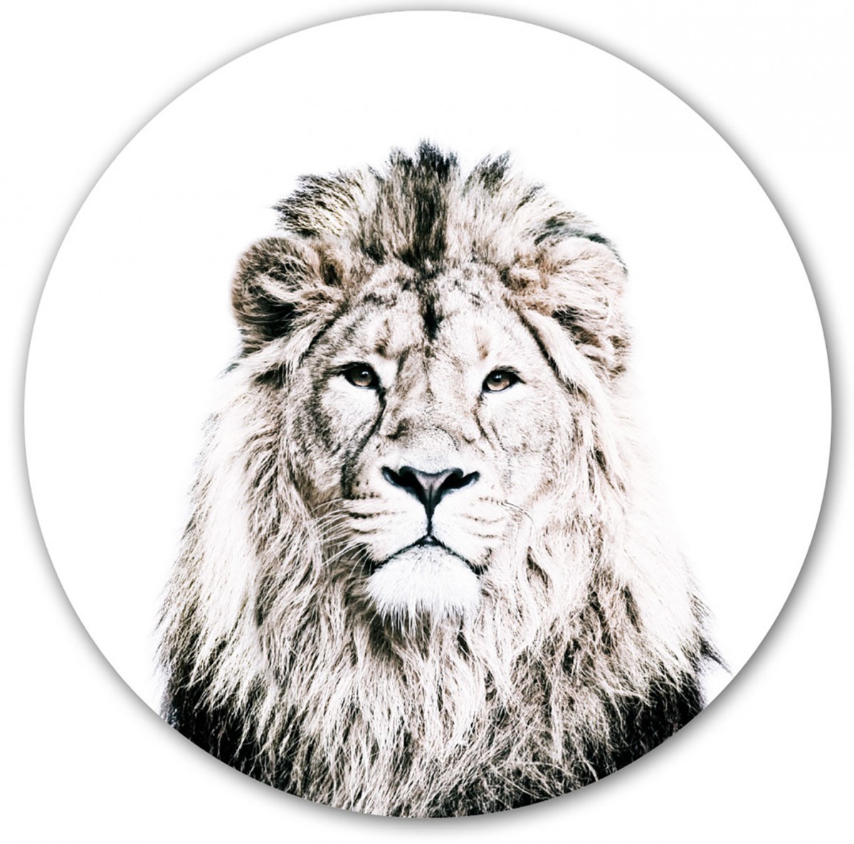 Sticker magnétique lion de Groovy Magnets - autocollant rond, sticker mural imprimé animal