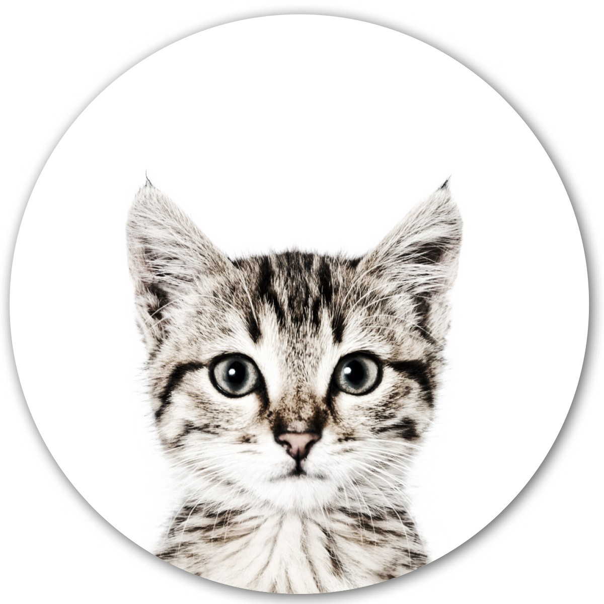 Magnetic wall sticker cat by Groovy Magnets - round adhesive wall sticker with animal print