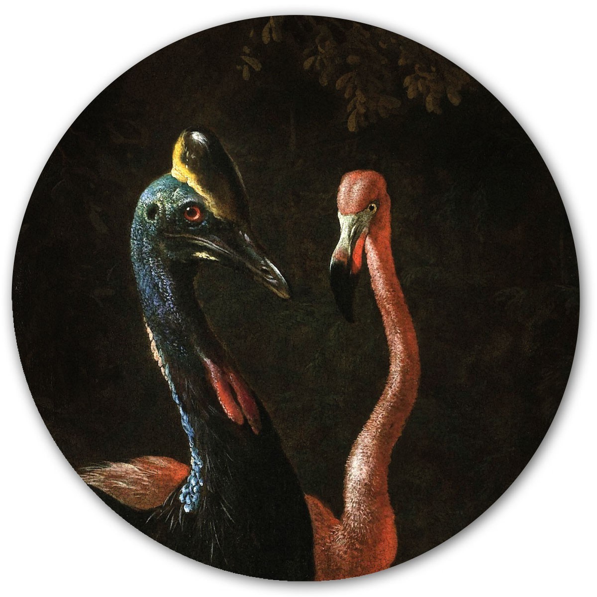 limiet gordijn Motivatie Magneetsticker 'Cassowary and friend' van Groovy Magnets - ronde magnetische  muursticker