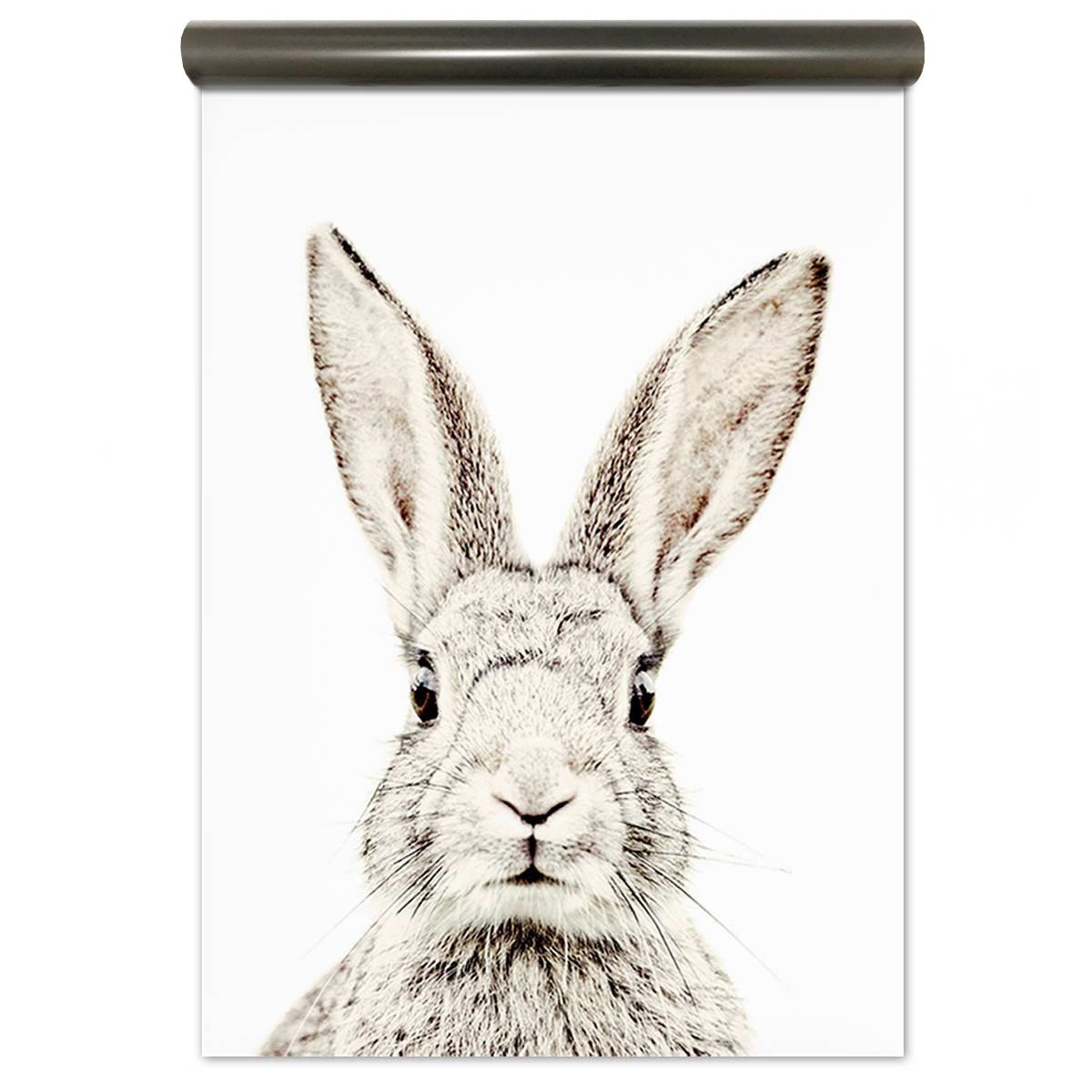 Magnetic wallpaper  Rabbit wallpaper, Animal print wallpaper, Wall murals  diy