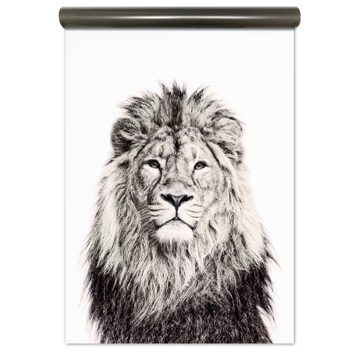 White magnetic wallpaper jungle print black / premium - for multi