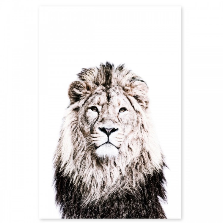 Magneetposter met print leeuw van Groovy Magnets | Magnetisch en decoratief