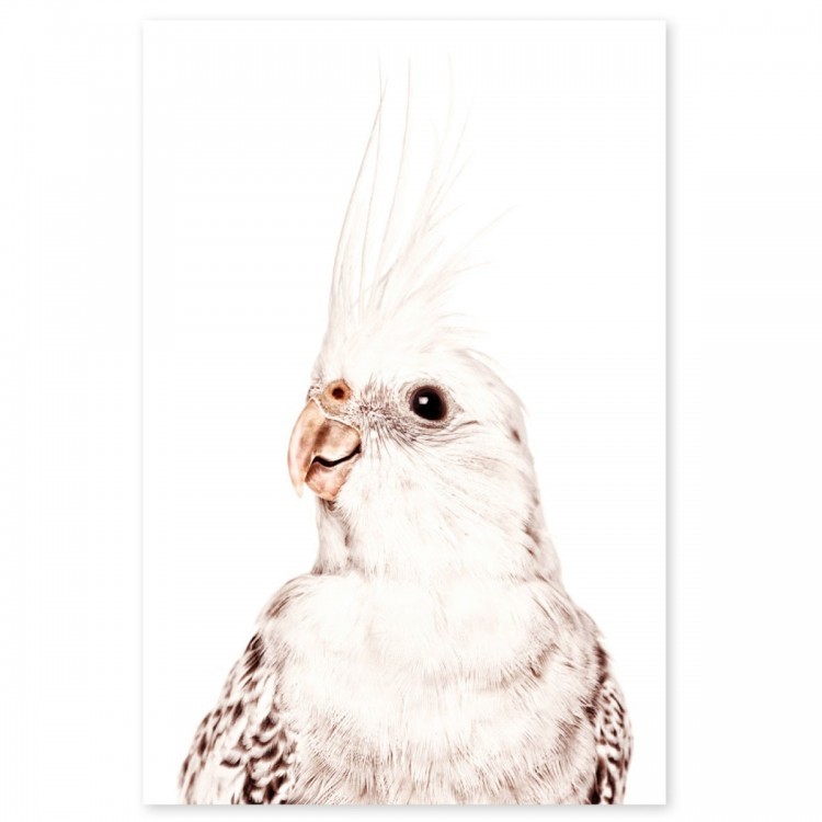 Magnetic wallpaper Parakeet by Groovy Magnets
