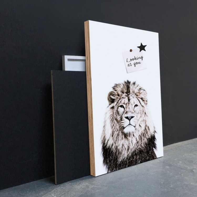 Magneetposter met print leeuw van Groovy Magnets | Magnetisch en decoratief