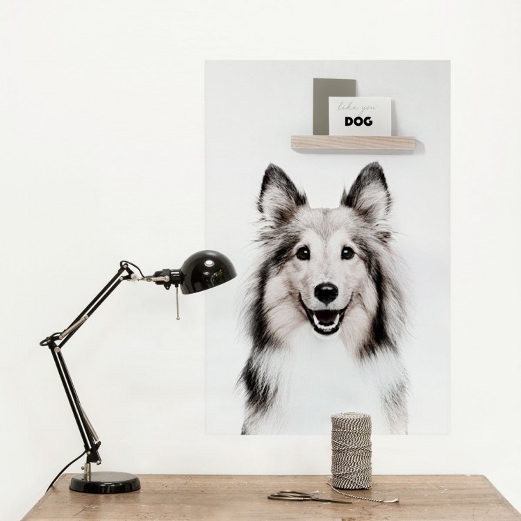 Sticker magnétique avec chien de Groovy Magnets. - autocollant rectangle, sticker mural