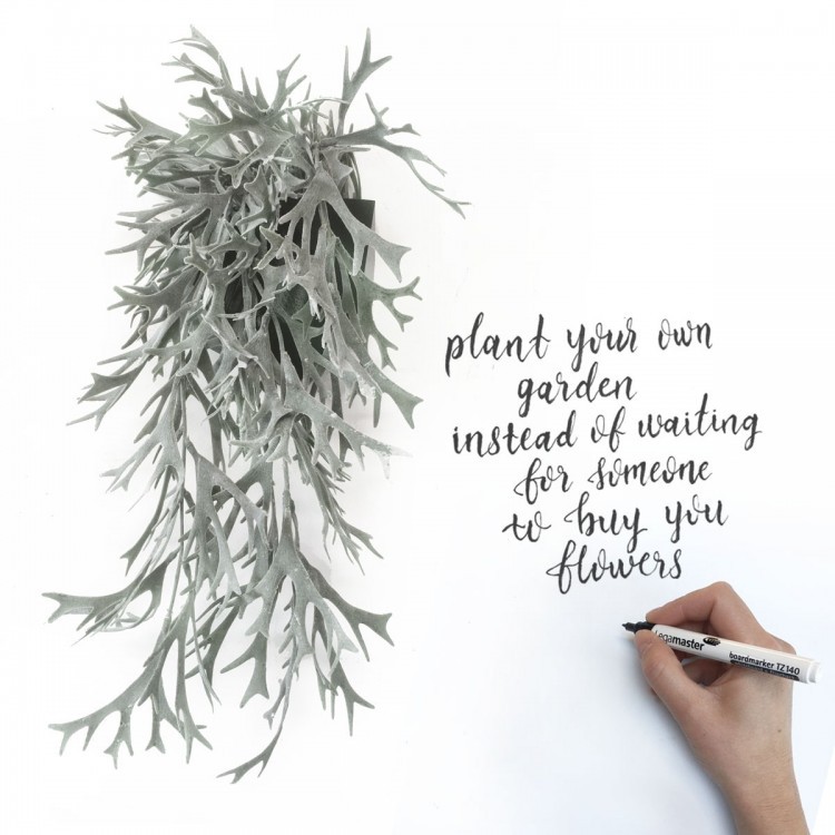 Magnetisch wandbakje ICO Outlet / zwart - voor planten, schrijfwaar,... - Groovy Magnets