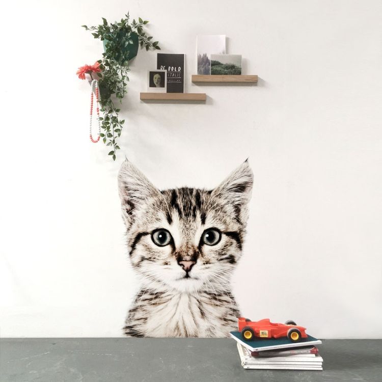 Magnetic wallpaper Cat by Groovy Magnets