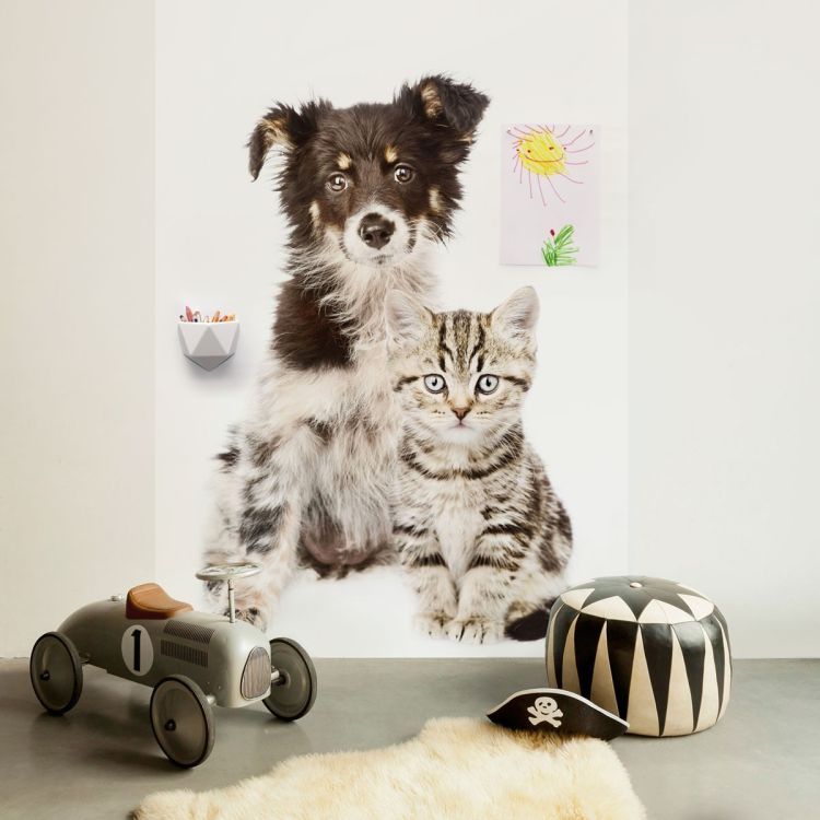 Magnetic wallpaper Dog and Cat from Groovy Magnets