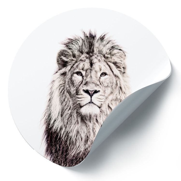 Magneetsticker leeuw van Groovy Magnets: ronde magnetische muursticker met dieren print