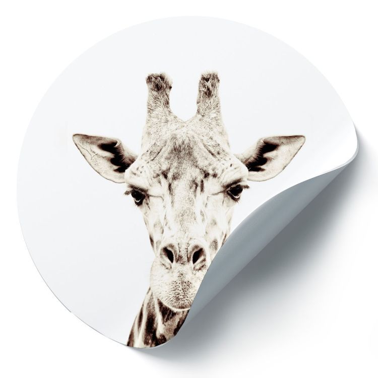 Magneetsticker giraf van Groovy Magnets: ronde magnetische muursticker met dieren print