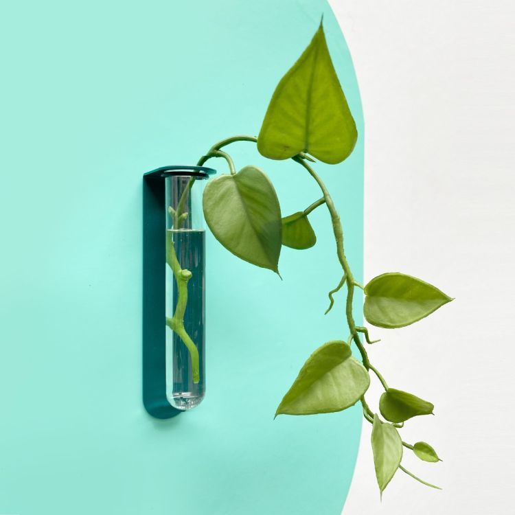 Magnet flower vase from Groovy Magnets 