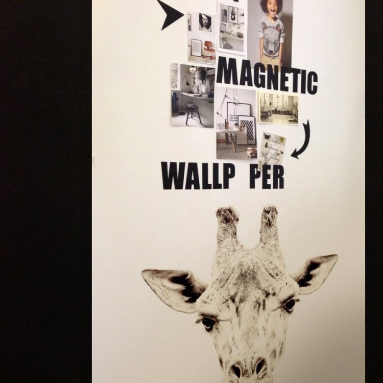 Papier peint magnétique Girafe / Groovy Magnets