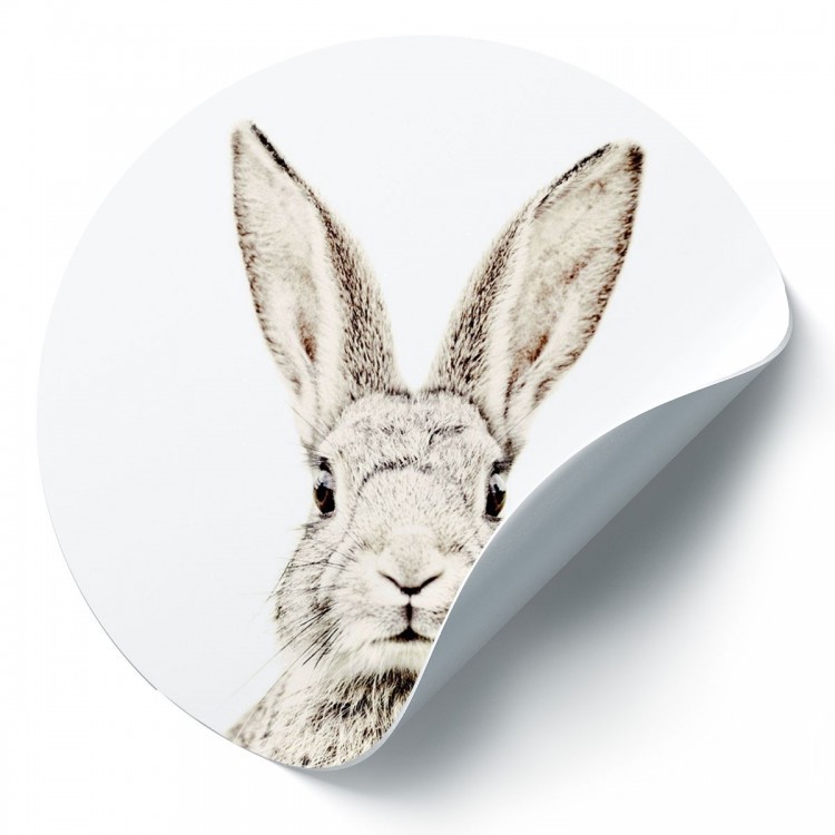 Sticker magnétique Lapin de Groovy Magnets - autocollant rond, sticker mural imprimé animal